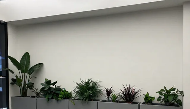 财税筹划如何有效规避风险，提升企业合规性